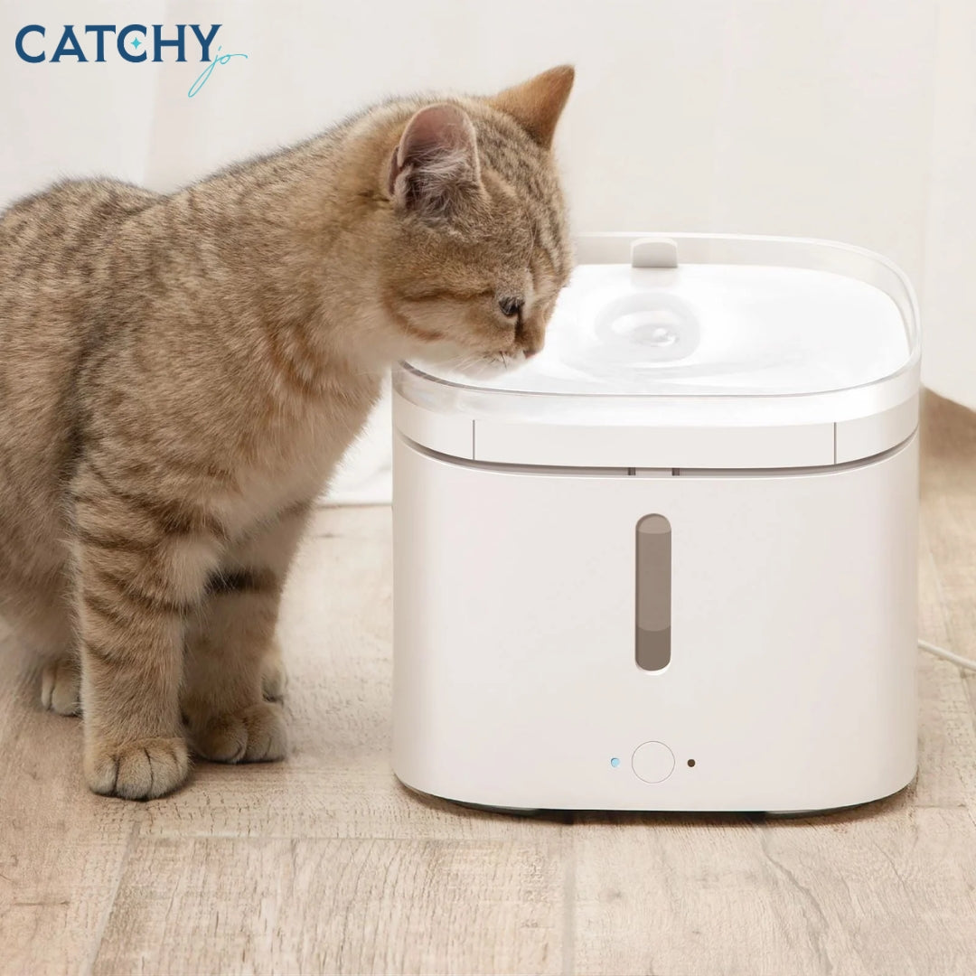 Xiaomi Smart Pet Fountain